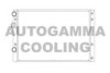 AUTOGAMMA 105200 Radiator, engine cooling